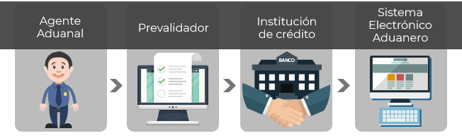 Logycom PECE actores