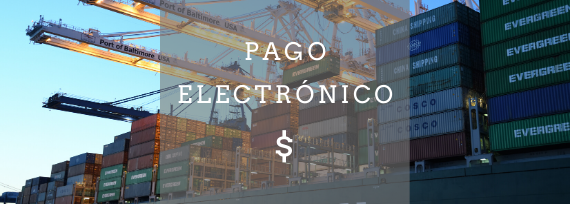 Logycom PECE deposito referenciado guía básica