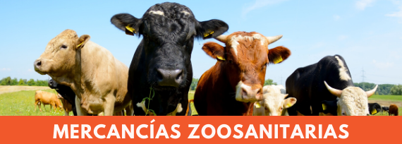 Logycom importación zoosanitaria
