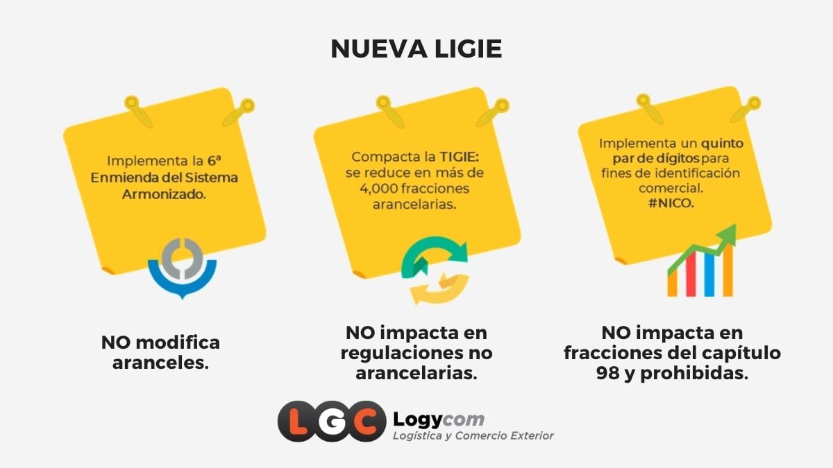 Logycom nueva LIGIE