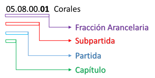 TIGIE Nomenclatura fracción arancelaria