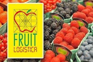 comercializadora en monterrey en fruit