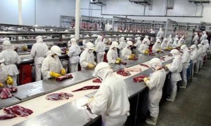 almacenaje y distribución en monterrey carne